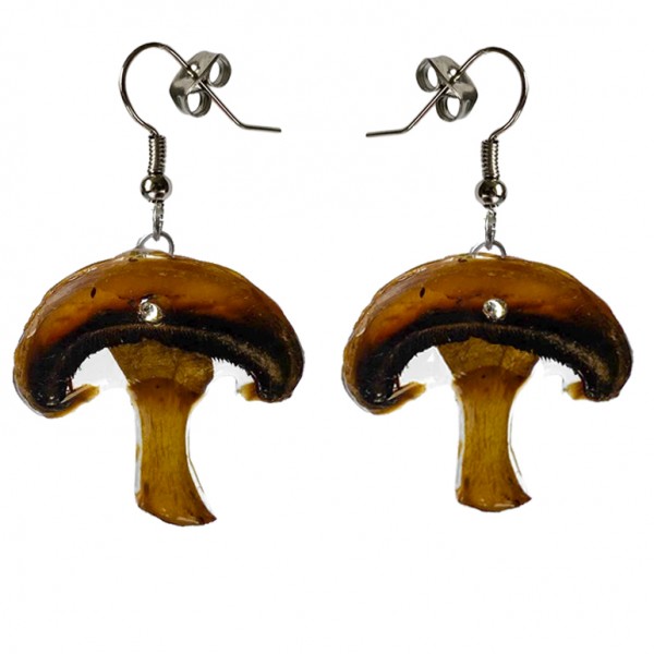 Pilz Ohrringe mit Zirkonia-Stein und echten Pilzen natürliche Ohrhänger Geschenkt für Boho Hippie St